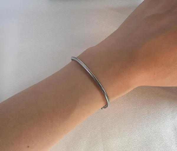 Adjustable Snake Bone Chain Bracelet for Men Women - Image 5