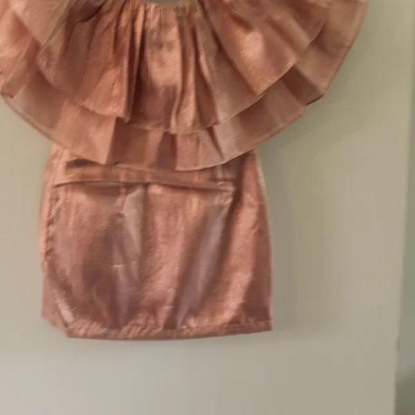 Choosy Copper Rose Organza Dress Size Small - Image 4