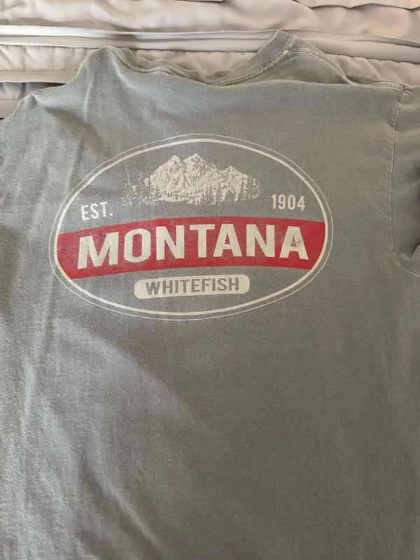 Comfort Colors T-Shirt - Image 2
