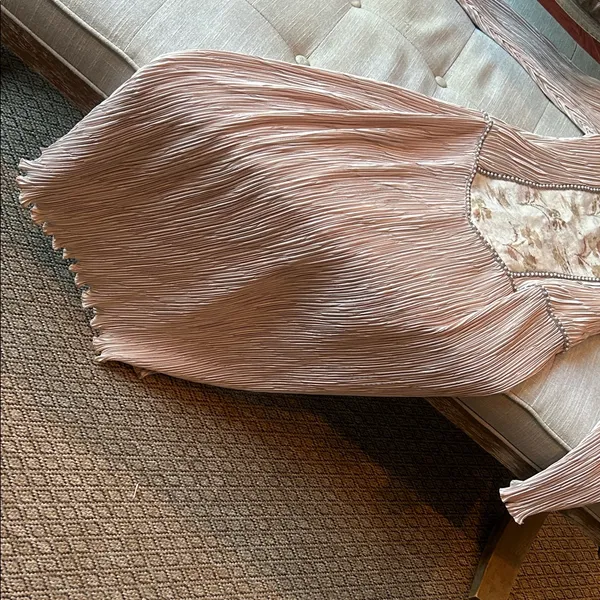 Ricki Lang for Nuit Vintage Champagne Pleated Tapestry Floral LS Dress Size 12 - Image 3