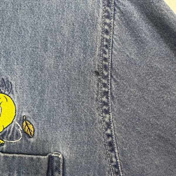 Vintage 2000 Warner Bros Tweety Bird Fall Button Down Denim Shirt - Image 9