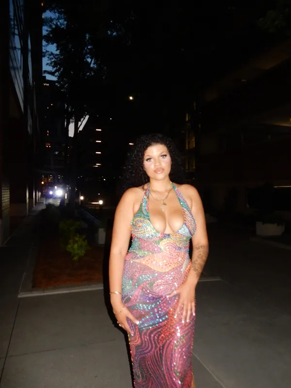 Alglist dress Multiple Size L - Image 2