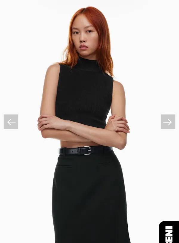 Babaton Aritzia Sculpt Knit Top - Image 4