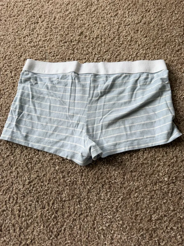 Brandy Melville Blue Striped Boyshort Underwear - Image 4