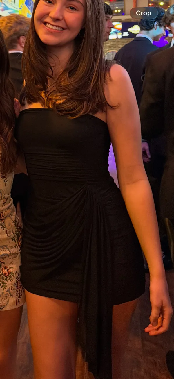 Amanda Uprichard Dress - Image 3