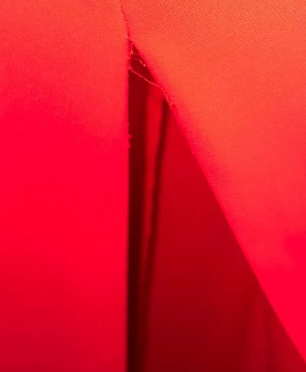 Amanda Uprichard x Revolve Cherri Strapless Maxi Gown In Crimson Red - Image 6