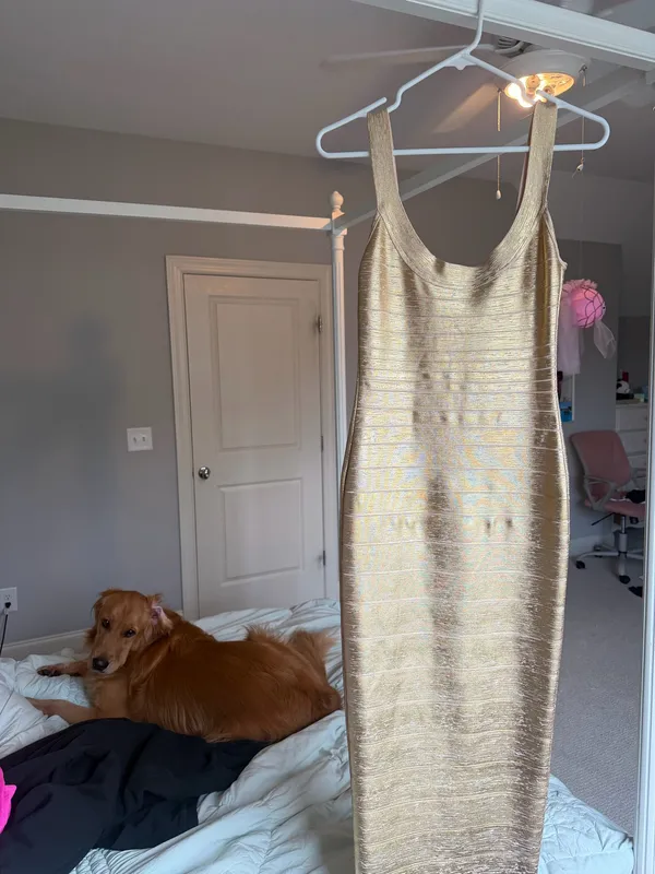 House of CB Dress - Image 2