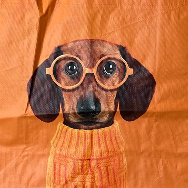 Puppy Dog Tote Orange - Image 9