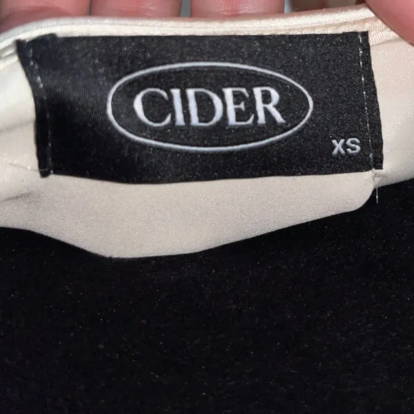 Cider mini silk dress - Image 10