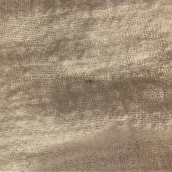 Sabo Skirt Shorts - Image 6