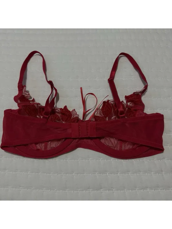 Victoria’s Secret Red Embroidery Mesh Sheer Unlined Bra 34C Underwire - Image 3