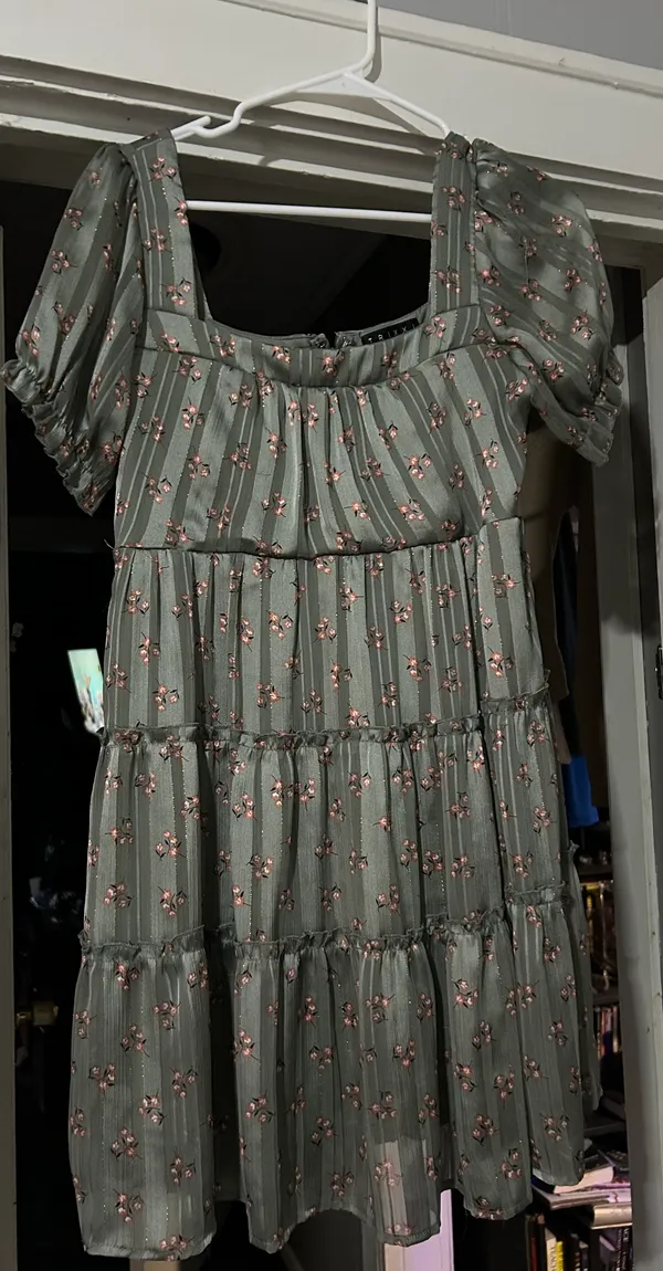 Francesca's Dress - Image 2