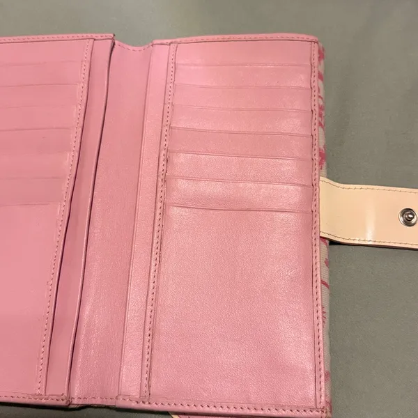 Pink Dior Lmtd Edition - Image 15