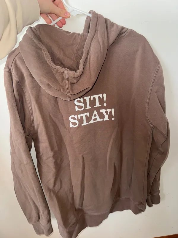 The Stray Dog Brown Hoodie - Image 2