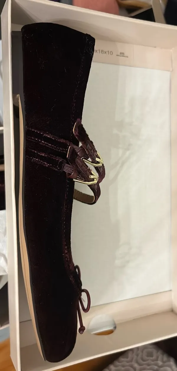 Burgundy Velvet dolce vita Gibsen flats 8.5 - Image 8