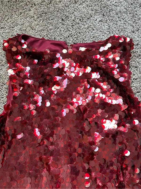 Wayf Burgundy Red Sequin Mini Dress - Image 5