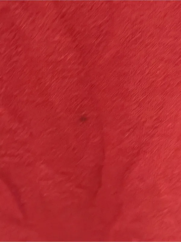 Eberjey Women's Red Piped Button-Up Pajama - Image 6