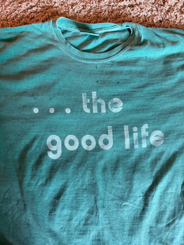 Comfort Colors The good life tee - Image 2