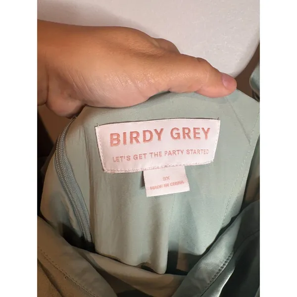 NWT Birdy Grey Mia Matte Satin dress in Sage green - Image 4