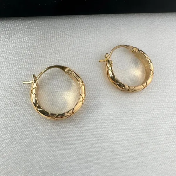 Polished Metal Texture Gold Hoop Earrings for Women - Image 5