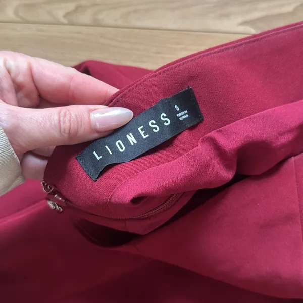 Lioness DRESS - Image 4