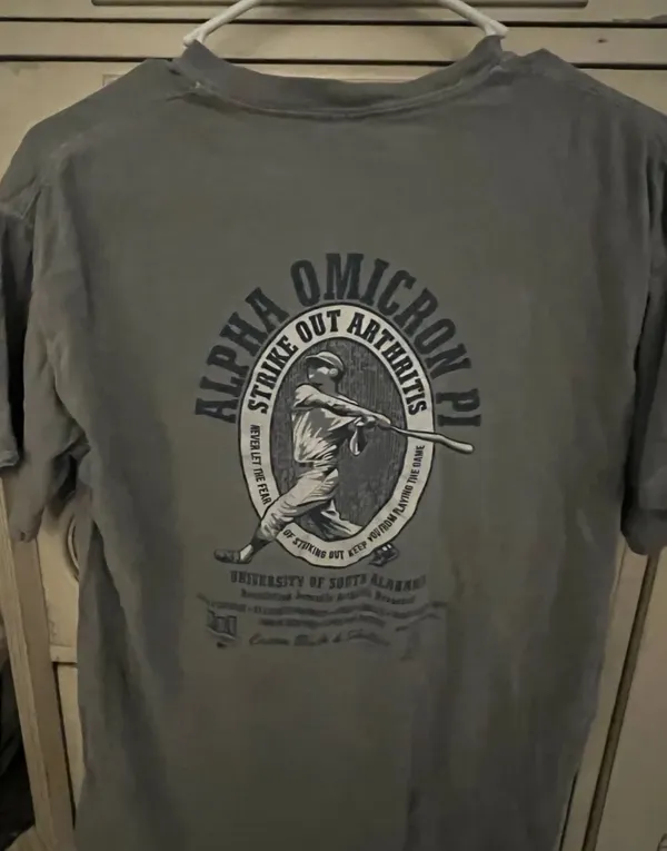 Alpha Omicron Comfort Colors Pi - Image 2