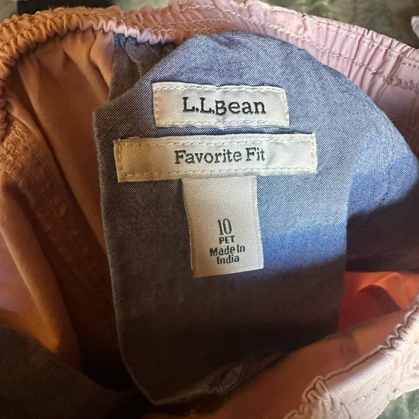 L.L. Bean Women's Light Pink pants 10P - Image 3