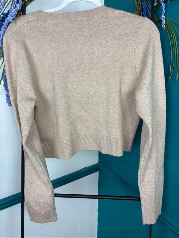 Joie Cropped Crewneck Sweater in Light Beige - Image 5