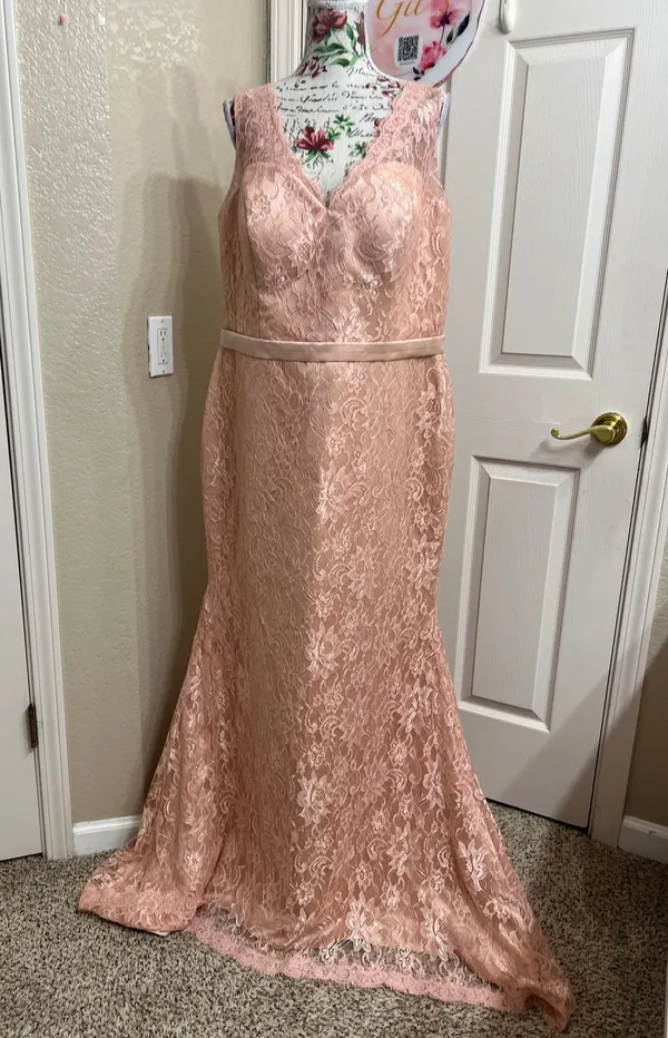 NWT Hebeos Blush Pink Lace V-Neck Prom Dress Gown - Image 2