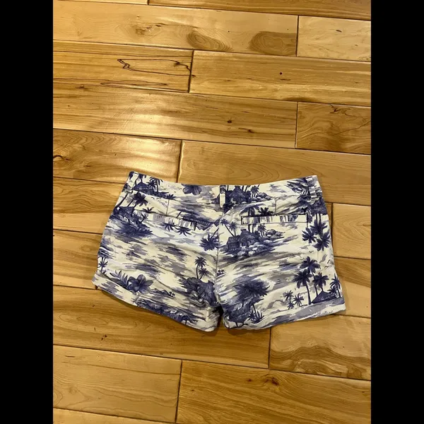 American Eagle Shorts - Image 2
