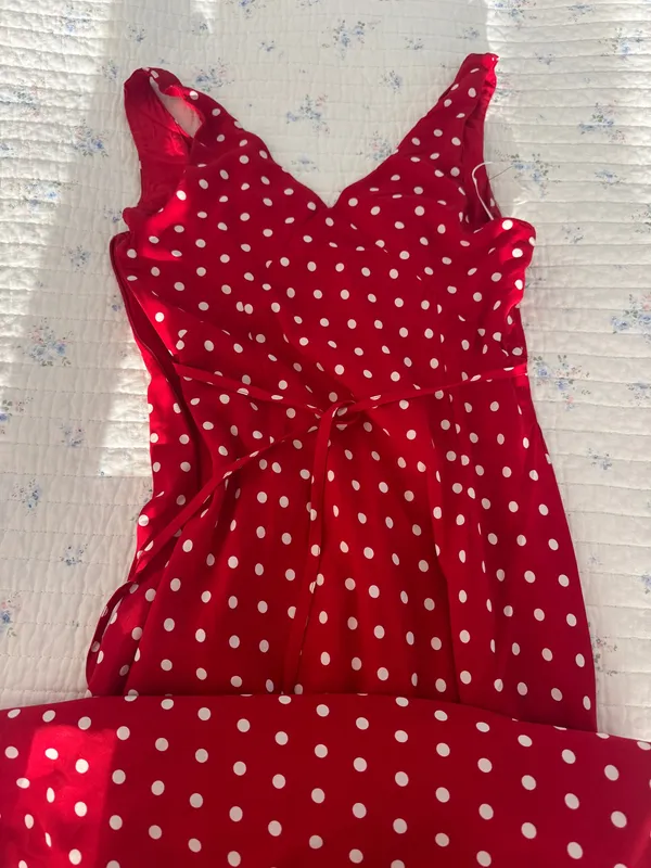 Princess Polly Polka Dot Maxi Dress - Image 4