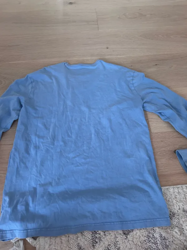 Blue American Eagle - Image 2