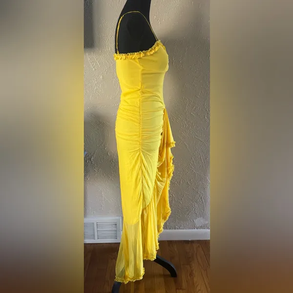 💛TIANMI Mesh Slip Ruffle Maxi Dress💛 ~M NWT - Image 9