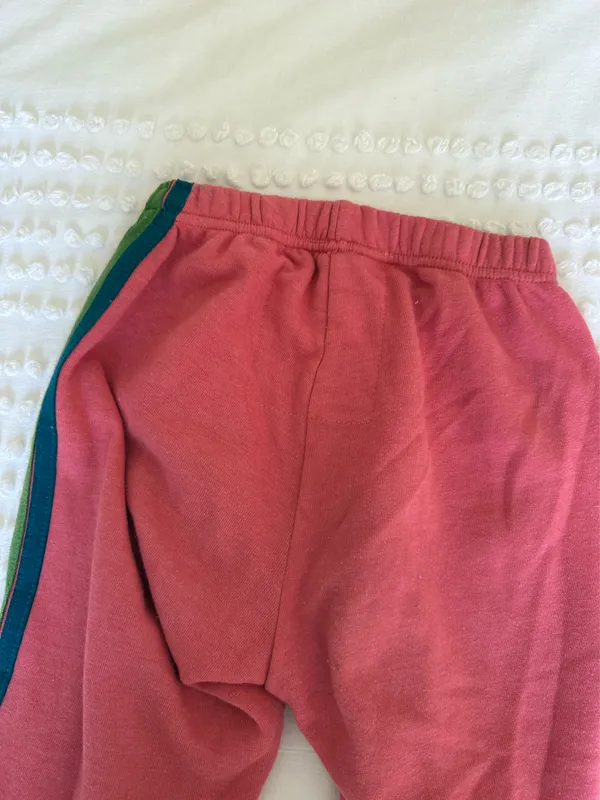 Aviator Nation Sweatpants - Image 5