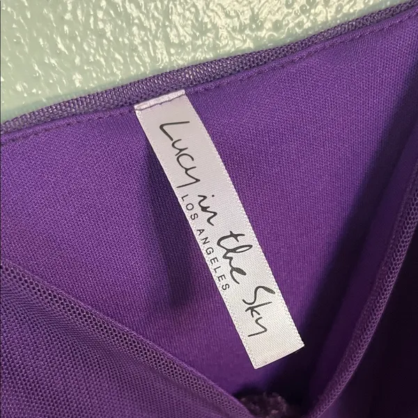 Lucy in the Sky Deep Purple Ruched Mini Dress - Image 4