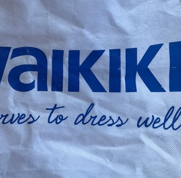 LC Waikiki tote… free with another purchase! - Image 5
