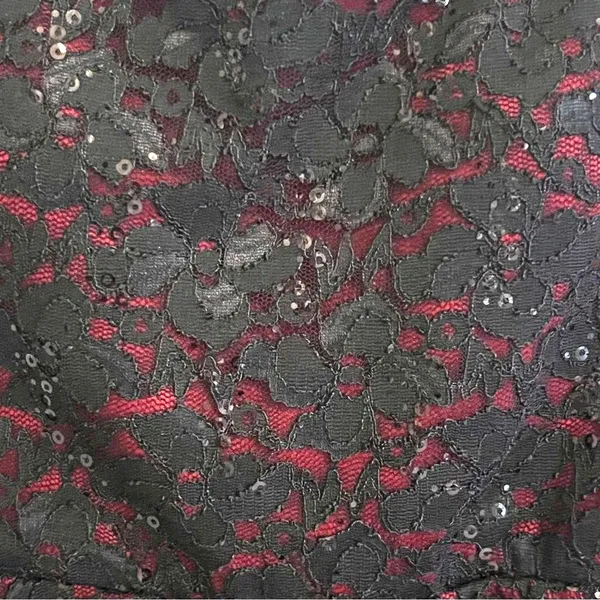 Love Reign Womens Lace Overlay Whimsigoth Dress Sz M HOCO Cocktail Fairy Grunge - Image 3