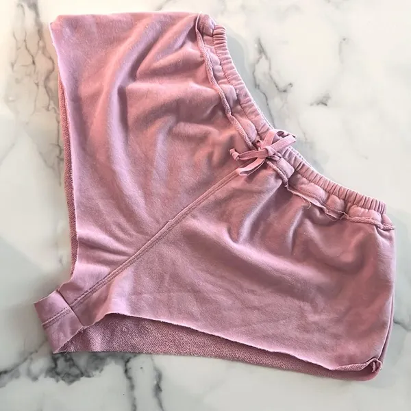 Free People NEW Intimately Pink Shorts, Size L New w/o Tag - Image 4