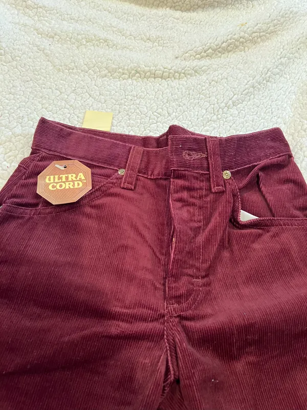 Levi's Courdory Flare Pants - Image 4