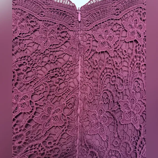 Lulus Angel in Disguise Burgundy Lace Skater Dress Size‎ Large - Image 7