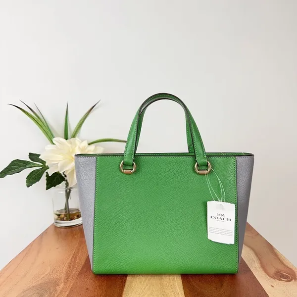 NWT Coach Alice Satchel Bag In Colorblock‎ - Image 4