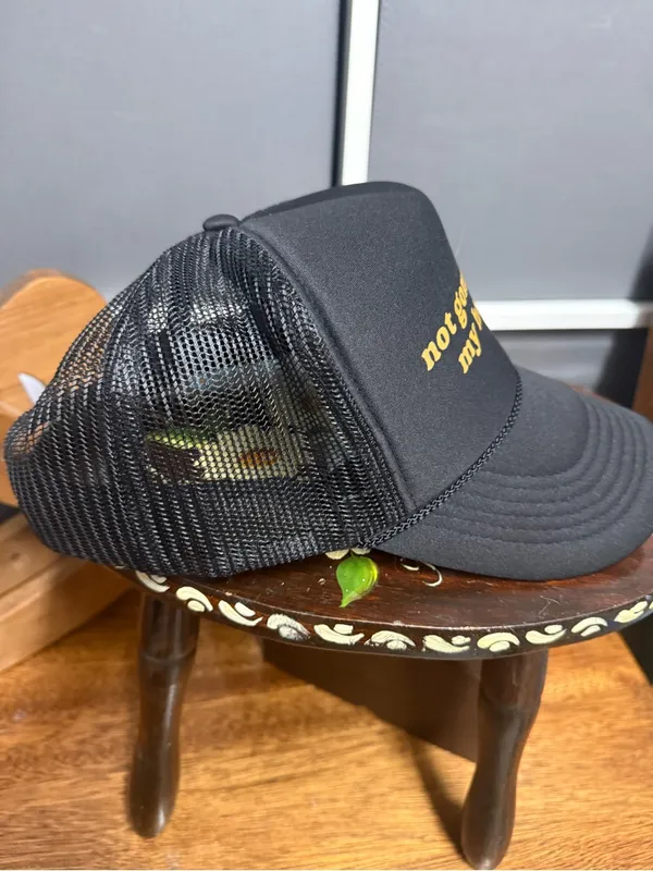 Not Gonna Hold My Horses Black Trucker Hat w/BS Tornado Pin - Image 6