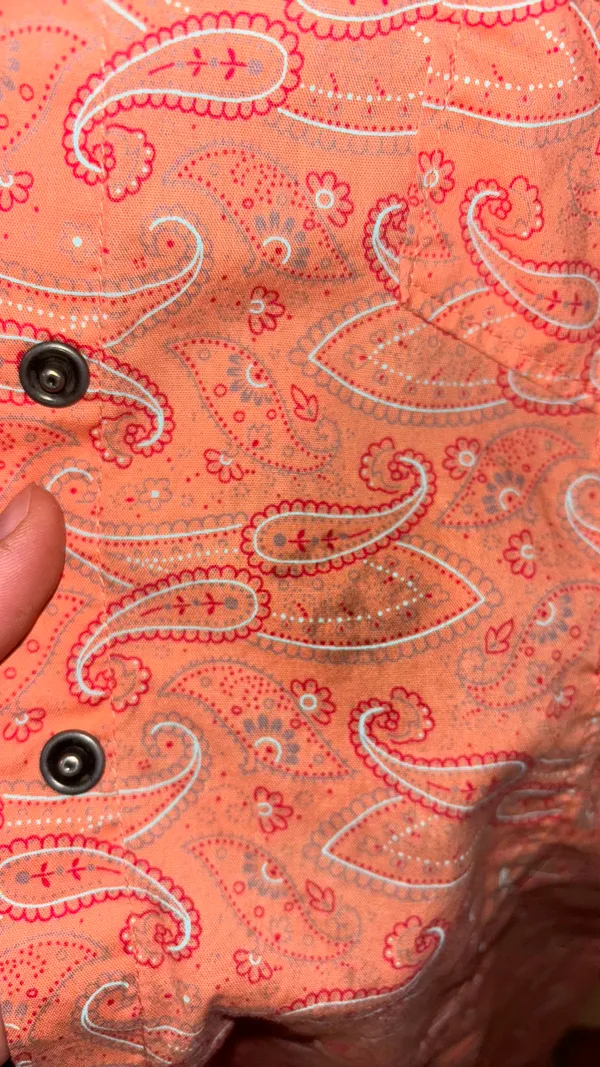 Cinch Western Shirt - Image 2