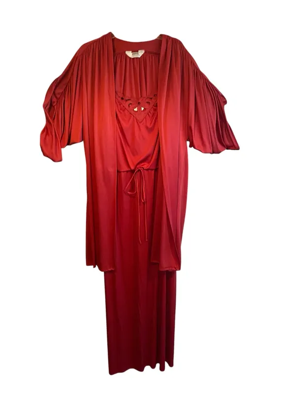 Vintage 70s Whimsigoth Peignoir Set Nightgown Maxi Dress Boho Old Hollywood - Image 3