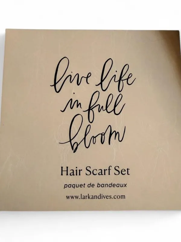 NWT Lark & Ives 2-Piece Hair Scarf Set - Image 6