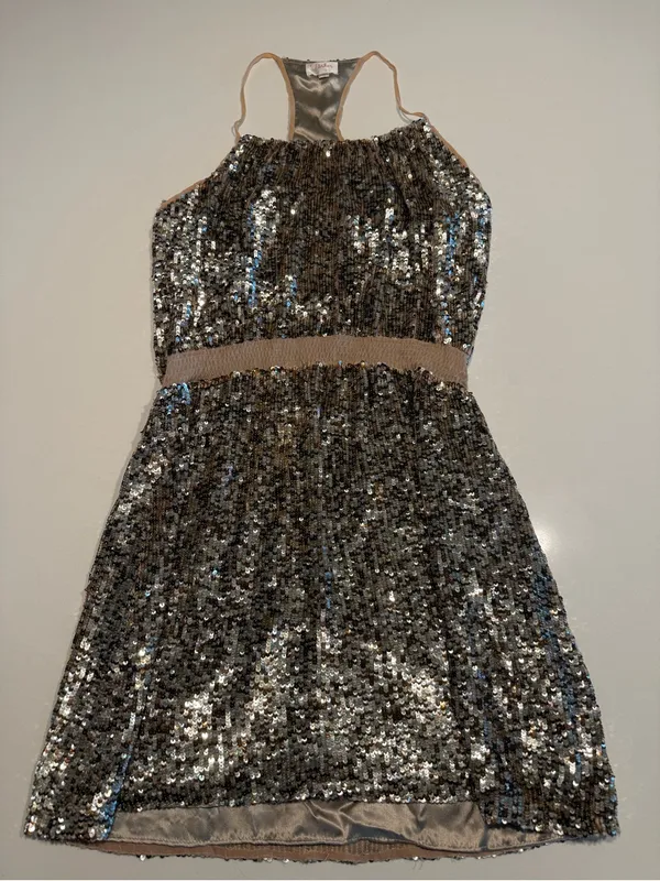 Parker Champaign Sequins Dress - Image 2