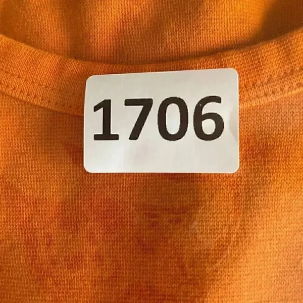 Zara Orange Short Sleeves Cropped Crewneck Basic TShirt SZ M #1706 - Image 9