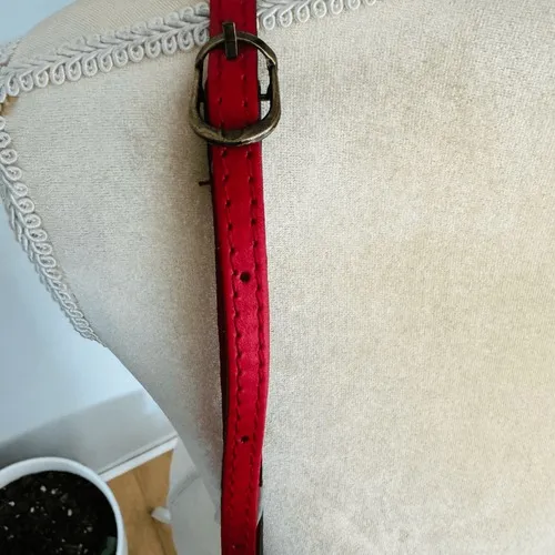 MASSIMO CASTELLO Tamonato Italian Leather Crossbody Bag Designer Luxury, Red NWT - Image 15