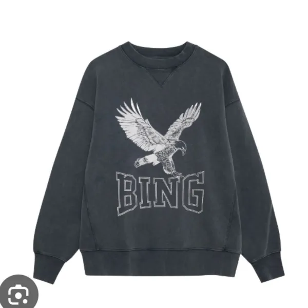 Anine Bing Retro Alto Eagle Graphic Organic Cotton Sweatshirt Washed Gray Black - Image 3