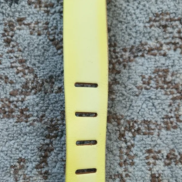 Free People We The Free Jona Belt Yellow Ombre - Image 6